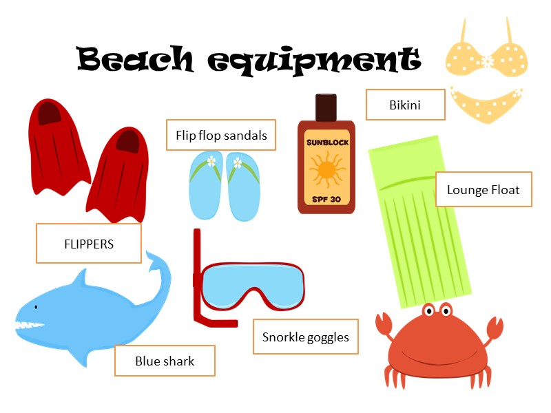 Beach equipment FLIPPERS Snorkle goggles Flip flop sandals Lounge Float Bikini Blue shark